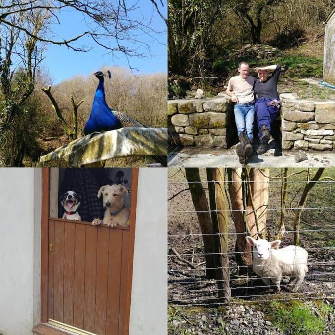 Stylish And Cosy Brecon Beacons