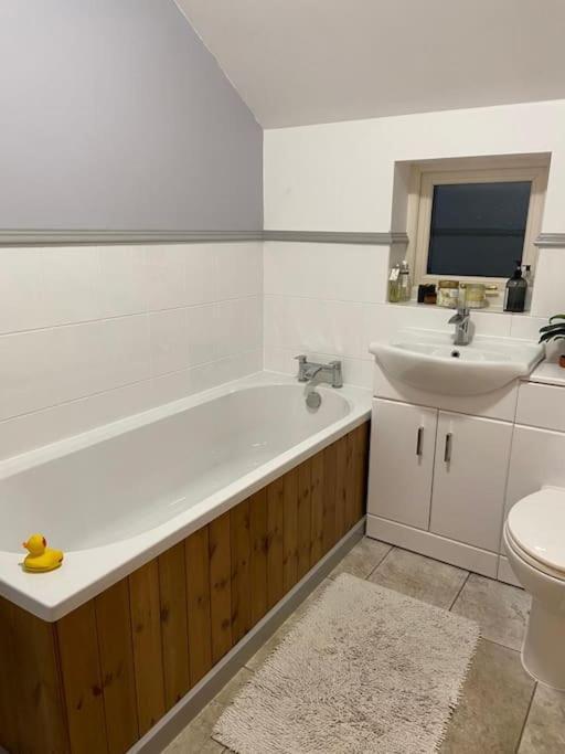 Stylish And Cosy Brecon Beacons Holiday home