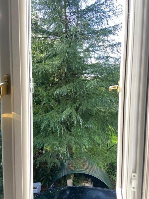 Holiday home Stylish And Cosy Brecon Beacons *