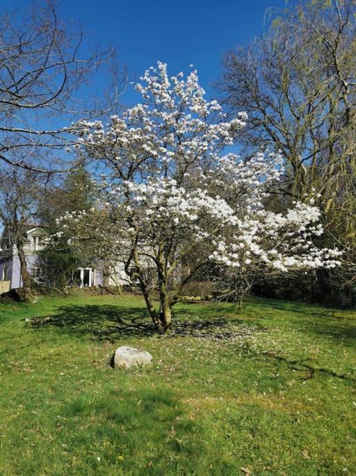 Holiday home Stylish And Cosy Brecon Beacons *